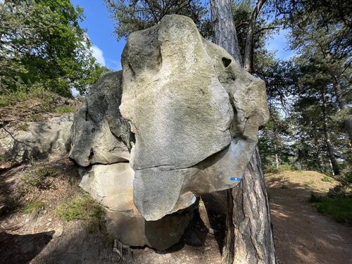 Image of Presse Agrume (5+)